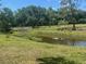 Picturesque pond with ducks swimming, surrounded by lush greenery and mature trees, creating a tranquil setting at 3009 Jim Johnson Rd, Plant City, FL 33566