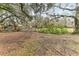 View of property featuring a large yard with mature trees, a play set, and livestock area at 3009 Jim Johnson Rd, Plant City, FL 33566
