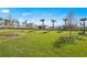 Expansive green backyard with manicured lawn, palm trees, and neatly trimmed shrubs at 1975 Pepper Grass Dr, North Port, FL 34289