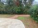 Backyard featuring a concrete patio and brick walkway amidst lush greenery at 6919 Greenhill Pl, Tampa, FL 33617