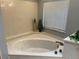 Luxurious bathtub in a well-lit bathroom at 6919 Greenhill Pl, Tampa, FL 33617