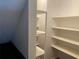 Bright walk-in pantry with ample shelving provides lots of storage solutions at 6919 Greenhill Pl, Tampa, FL 33617