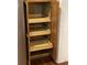 Walk-in pantry equipped with roll-out shelves and custom cabinetry providing easy access and maximizing storage space at 6919 Greenhill Pl, Tampa, FL 33617