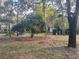 Wooded backyard with mature trees and lush lawn at 103 Old Mill Pond Rd, Palm Harbor, FL 34683