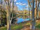 Scenic view of a community pond with mature trees on a sunny day at 8615 Hunters Key Cir, Tampa, FL 33647