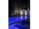 Inviting swimming pool illuminated at night creating a serene and relaxing atmosphere at 4224 W Kensington Ave, Tampa, FL 33629