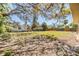 Large, open backyard with mature trees and partial fencing, perfect for outdoor activities at 5130 Dr Martin Luther King Jr St S, St Petersburg, FL 33705