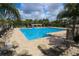 Large community pool surrounded by palm trees and lounge chairs, perfect for relaxation and recreation at 5720 107Th E Ter, Parrish, FL 34219