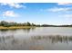 Scenic view of the tranquil pond surrounded by natural vegetation and clear blue sky at 5720 107Th E Ter, Parrish, FL 34219
