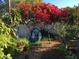 Lush backyard with vibrant bougainvillea, a charming blue playhouse, and mature trees for a private oasis at 546 Orangewood Dr, Dunedin, FL 34698
