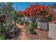 Backyard with a shed, a chair and blooming vines at 546 Orangewood Dr, Dunedin, FL 34698