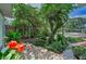 A beautifully landscaped front yard with trees and lush greenery leading to the front door at 546 Orangewood Dr, Dunedin, FL 34698