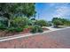 A well manicured front yard from an elevated view showing the brick street and mature landscaping at 546 Orangewood Dr, Dunedin, FL 34698
