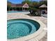 Inviting pool area features a hot tub, lounge chairs, and a shaded tiki hut at 5557 Baywater Dr, Tampa, FL 33615