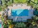 Aerial view of the community pool featuring lounge chairs, tables, and palm trees at 19724 Post Island Loop, Land O Lakes, FL 34638
