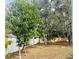 The backyard has a few trees, and a white fence separating it from the neighbors at 4209 Amber Ridge Ln, Valrico, FL 33594