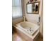 Cozy bathroom with a large soaking tub and a decorative mirror at 4209 Amber Ridge Ln, Valrico, FL 33594