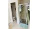 Bright bathroom featuring a walk-in glass shower with tiled floors at 4209 Amber Ridge Ln, Valrico, FL 33594