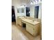 Bathroom vanity with a long countertop, double sinks, and cabinets at 4209 Amber Ridge Ln, Valrico, FL 33594