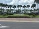 Landscaped entrance to The Preserve community with lush greenery, flowers and several palm trees at 16949 Secret Meadow Dr, Odessa, FL 33556