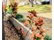 Close-up of lush landscaping featuring colorful plants and greenery along a retaining wall at 2300 Shelly Dr # C, Palm Harbor, FL 34684