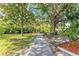 Lush backyard with mature trees and pathway leading to waterfront dock at 8703 Driftwood Dr, Tampa, FL 33615
