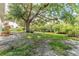 Spacious backyard with mature trees, dock, and waterfront access at 8703 Driftwood Dr, Tampa, FL 33615