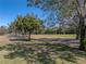 Picturesque golf course view featuring mature trees providing shade and visual interest on a sunny day at 12700 Grand Traverse Dr, Dade City, FL 33525