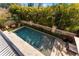 A luxurious pool surrounded by lush greenery, offering a private and serene outdoor space at 4902 Carranza Ct, Tampa, FL 33616