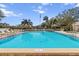 Resort-style pool area featuring comfortable lounge chairs and lush tropical landscaping at 2617 Cove Cay Dr # 604, Clearwater, FL 33760