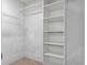 Walk-in closet with adjustable shelving and ample storage space for organizing clothes and accessories at 1628 Baker Rd, Lutz, FL 33559