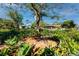 View of a garden area with a stone-tiled space in a backyard featuring trees and plants at 6226 Hampton N Ct, St Petersburg, FL 33710