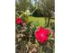 Beautiful shot of a garden showcasing red roses with lush green foliage in natural light at 6226 Hampton N Ct, St Petersburg, FL 33710