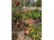 Close-up of a vibrant garden featuring an array of red flowers and lush greenery at 6226 Hampton N Ct, St Petersburg, FL 33710
