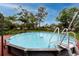 Outdoor above-ground pool showcasing its ladder and surrounded by garden space at 6226 Hampton N Ct, St Petersburg, FL 33710