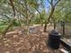A dog park with trees and a walking path surrounded by a chainlink fence at 1055 Philippe Pkwy, Safety Harbor, FL 34695