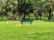 Quiet park setting with green grass, mature trees, and a shaded bench for relaxation at 7418 Bay Dr, Tampa, FL 33635