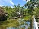 Picturesque water view featuring lush greenery, dock, and clear water reflections at 7418 Bay Dr, Tampa, FL 33635