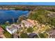 An aerial shot of the homes showcases the mature trees and lush landscaping at 1903 Haven Bend, Tampa, FL 33613
