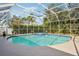 Inviting outdoor pool and spa, featuring a screen enclosure and lush tropical landscaping at 363 Sanctuary Dr, Crystal Beach, FL 34681