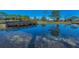 View of a pond on the community golf course with a bridge and multiple trees around the outside at 8005 Bardmoor Pl # 202I, Seminole, FL 33777