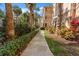 Pathway lined with beautiful foliage and palm trees creating a serene and inviting atmosphere at 1203 Bay Club Cir # 1203, Tampa, FL 33607