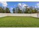 Expansive fenced backyard with lush green grass, perfect for outdoor living at 6684 Devlin Ln, Wesley Chapel, FL 33545