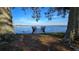 Waterfront view of dock and lake framed by trees at 20 Cypress Dr, Palm Harbor, FL 34684