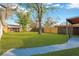 Large backyard featuring well-maintained lawn, a mature tree and a sturdy wooden fence at 12918 Cambridge Ave, Tampa, FL 33624
