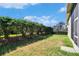 This backyard features a well-maintained lawn and a beautiful privacy hedge, enclosed by a classic black metal fence at 3110 Bent Creek Dr, Valrico, FL 33596