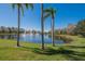 A scenic pond view with fountains, palm trees, and lush green grass creates a tranquil setting at 3110 Bent Creek Dr, Valrico, FL 33596