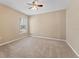 Bright bedroom with neutral carpet, ceiling fan, and a window letting in natural light at 5809 War Admiral Dr, Wesley Chapel, FL 33544