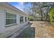 Large backyard with mature trees, offering a serene outdoor space at 3108 Ash Ct, Dunedin, FL 34698