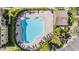An aerial view showcases the community pool, complete with seating areas, and surrounding trees at 12537 Silverdale St, Tampa, FL 33626